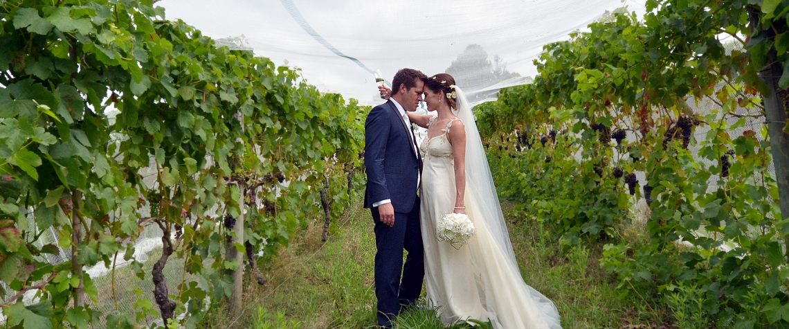 Husband and wife kiss in a vineyard on their wedding Day.