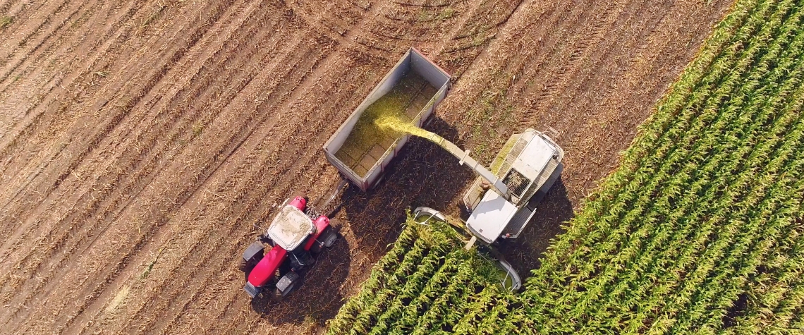 Farm machines harvesting corn in Autumn, aerial view.