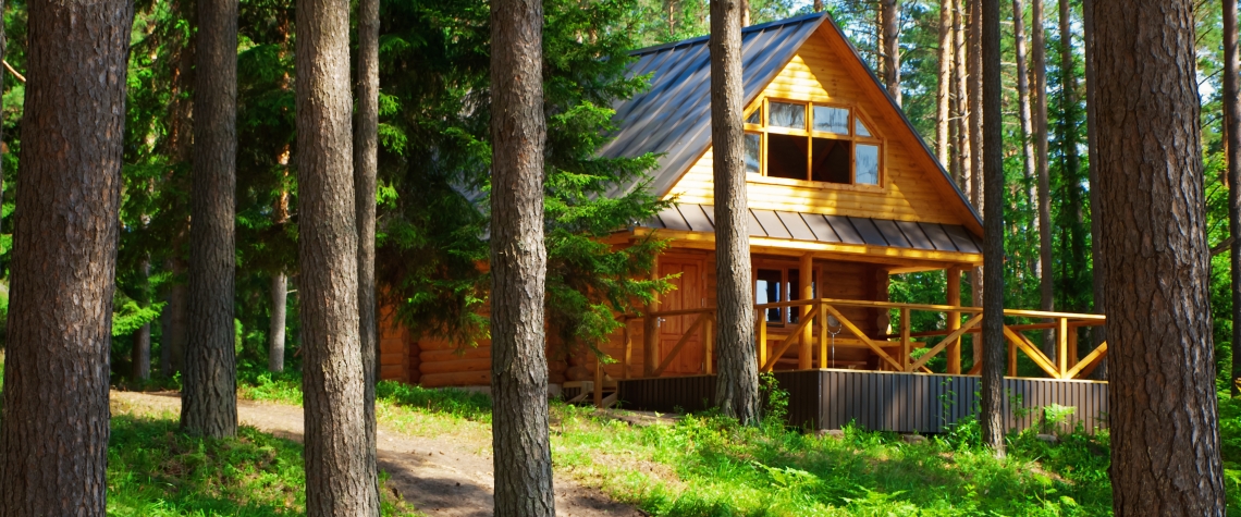 Log house in the forest