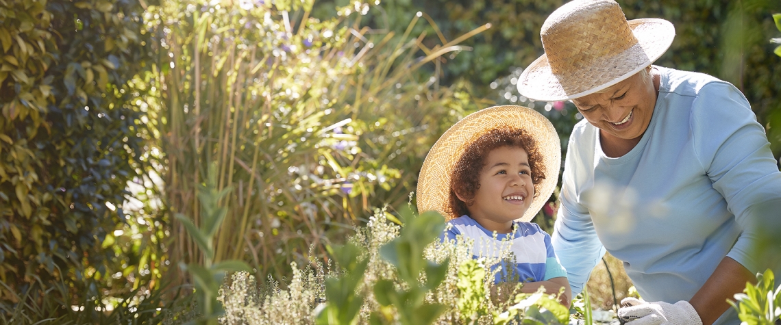 African descent grandmother and grandchild gardening in outdoor vegetable garden in spring or summer season. Cute little boy enjoys planting new flowers and vegetable plants.