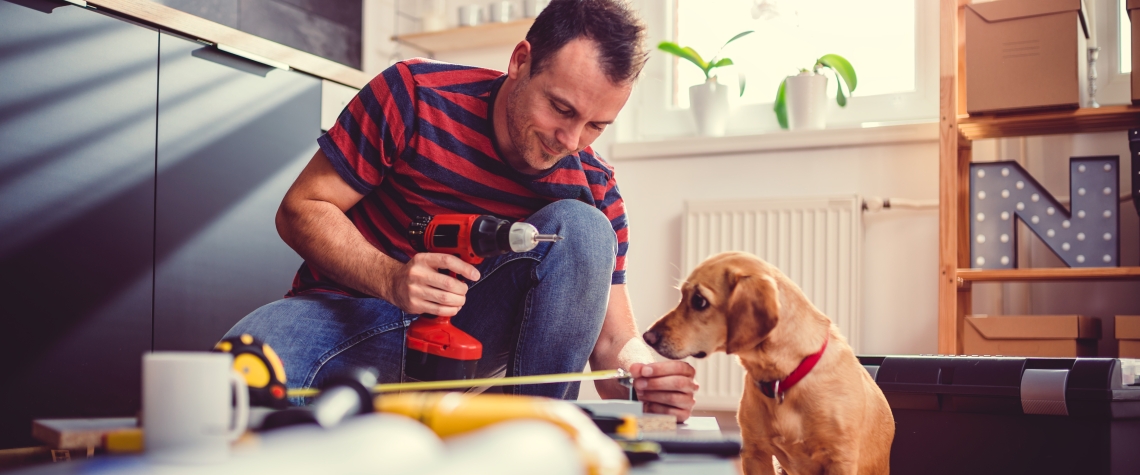 Man with small yellow dog working on a new kitchen installation and using a cordless drill